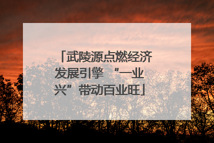 武陵源点燃经济发展引擎 “一业兴”带动百业旺