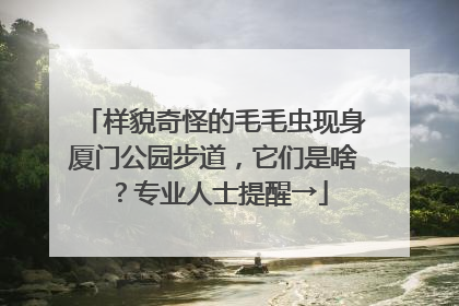 样貌奇怪的毛毛虫现身厦门公园步道，它们是啥？专业人士提醒→