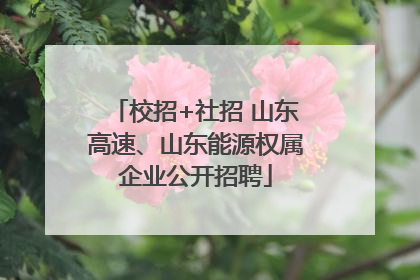 校招+社招 山东高速、山东能源权属企业公开招聘