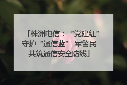 株洲电信：“党建红”守护“通信蓝” 军警民共筑通信安全防线