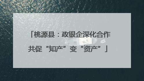 桃源县：政银企深化合作 共促“知产”变“资产”