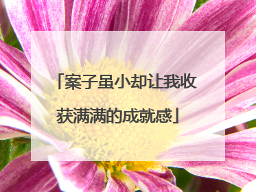 案子虽小却让我收获满满的成就感