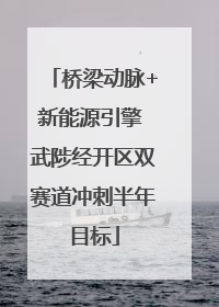 桥梁动脉+新能源引擎 武陟经开区双赛道冲刺半年目标