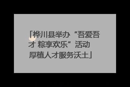桦川县举办“吾爱吾才 粽享欢乐”活动 厚植人才服务沃土
