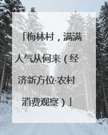 梅林村，满满人气从何来（经济新方位·农村消费观察）