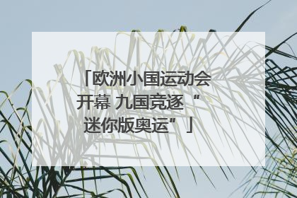 欧洲小国运动会开幕 九国竞逐“迷你版奥运”