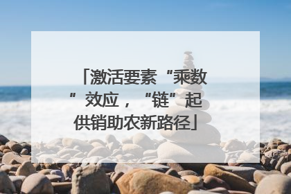 激活要素“乘数”效应，“链”起供销助农新路径
