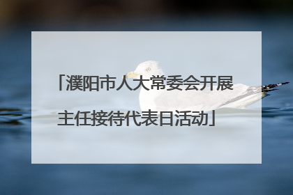 濮阳市人大常委会开展主任接待代表日活动