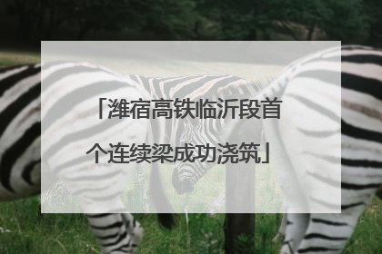 潍宿高铁临沂段首个连续梁成功浇筑
