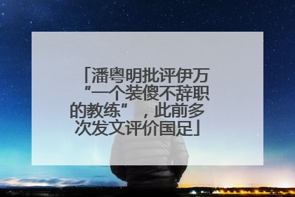 潘粤明批评伊万“一个装傻不辞职的教练”，此前多次发文评价国足