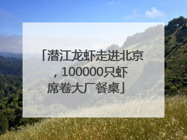 潜江龙虾走进北京，100000只虾席卷大厂餐桌