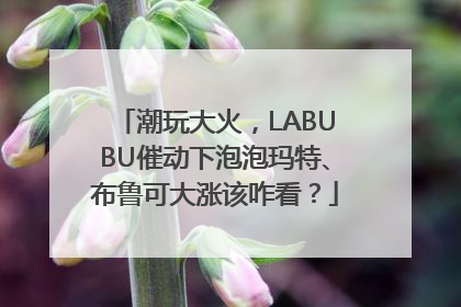 潮玩大火，LABUBU催动下泡泡玛特、布鲁可大涨该咋看？