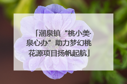 潮泉镇“桃小美·泉心办”助力梦幻桃花源项目扬帆起航