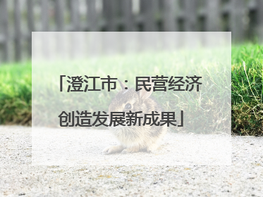 澄江市：民营经济创造发展新成果