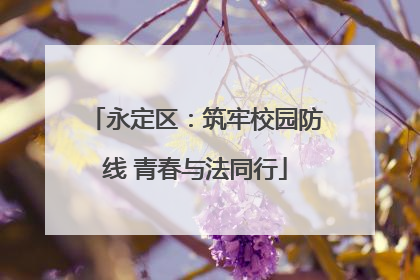 永定区：筑牢校园防线 青春与法同行