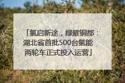 氢启新途，绿耀铜都：湖北省首批500台氢能两轮车正式投入运营