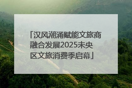 汉风潮涌赋能文旅商融合发展2025未央区文旅消费季启幕