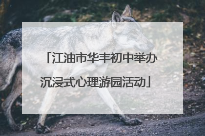 江油市华丰初中举办沉浸式心理游园活动