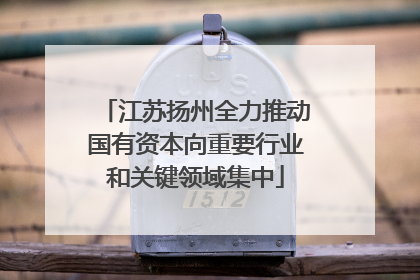 江苏扬州全力推动国有资本向重要行业和关键领域集中