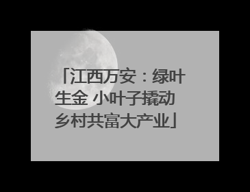 江西万安：绿叶生金 小叶子撬动乡村共富大产业