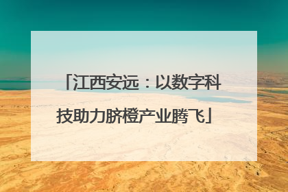 江西安远：以数字科技助力脐橙产业腾飞