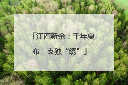 江西新余：千年夏布一支独“绣”