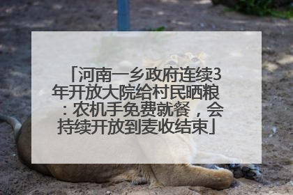 河南一乡政府连续3年开放大院给村民晒粮：农机手免费就餐，会持续开放到麦收结束