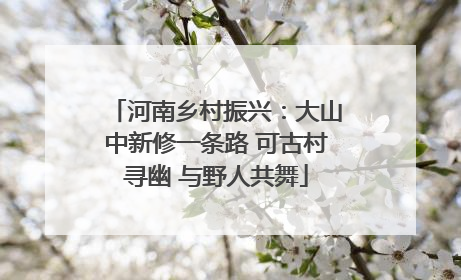 河南乡村振兴：大山中新修一条路 可古村寻幽 与野人共舞