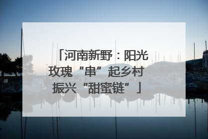 河南新野：阳光玫瑰“串”起乡村振兴“甜蜜链”