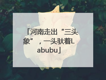 河南走出“三头象”，一头驮着Labubu
