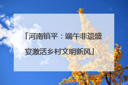 河南镇平：端午非遗盛宴激活乡村文明新风