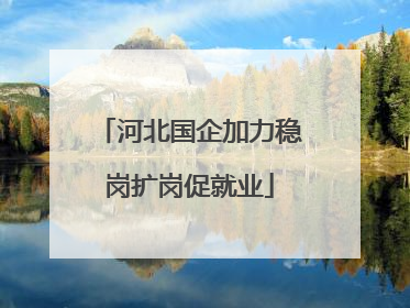 河北国企加力稳岗扩岗促就业