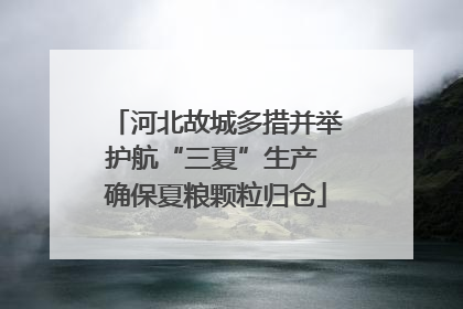 河北故城多措并举护航“三夏”生产 确保夏粮颗粒归仓