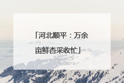 河北顺平：万余亩鲜杏采收忙