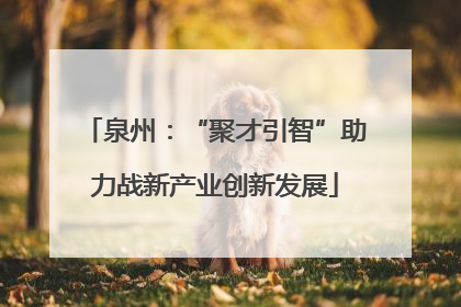 泉州：“聚才引智”助力战新产业创新发展