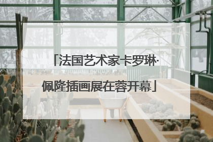 法国艺术家卡罗琳·佩隆插画展在蓉开幕