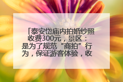 泰安岱庙内拍婚纱照收费300元，景区：是为了规范“商拍”行为，保证游客体验，收取费用全部上交国库