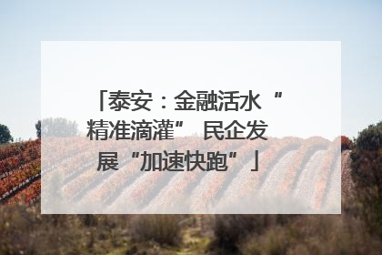 泰安：金融活水“精准滴灌” 民企发展“加速快跑”