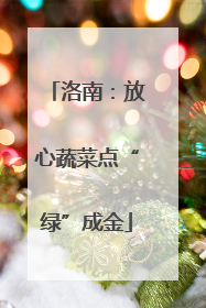 洛南：放心蔬菜点“绿”成金