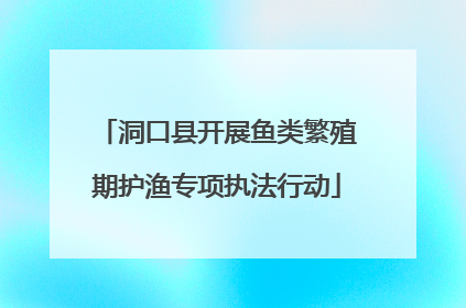 洞口县开展鱼类繁殖期护渔专项执法行动