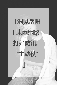 洞见岳阳丨未雨绸缪 打好防汛“主动仗”