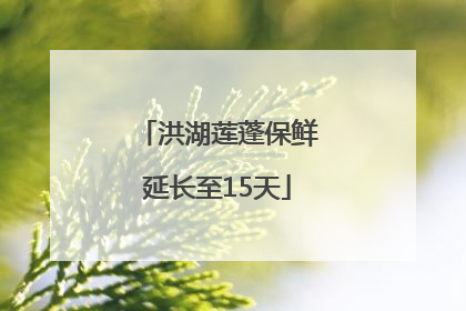 洪湖莲蓬保鲜延长至15天