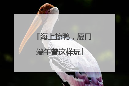 海上掠鸭，厦门端午曾这样玩