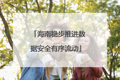 海南稳步推进数据安全有序流动