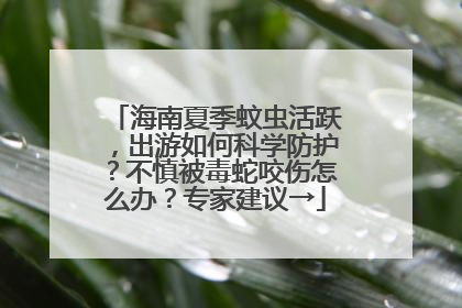 海南夏季蚊虫活跃，出游如何科学防护？不慎被毒蛇咬伤怎么办？专家建议→