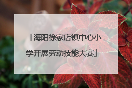 海阳徐家店镇中心小学开展劳动技能大赛
