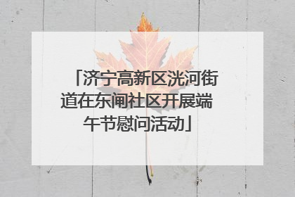 济宁高新区洸河街道在东闸社区开展端午节慰问活动
