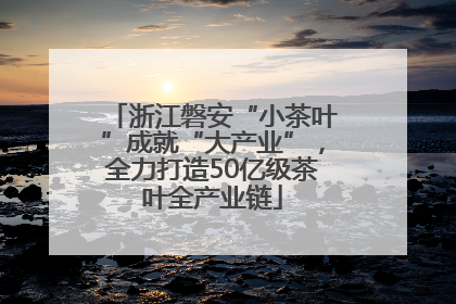 浙江磐安“小茶叶”成就“大产业”，全力打造50亿级茶叶全产业链