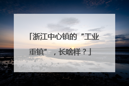 浙江中心镇的“工业重镇”，长啥样？