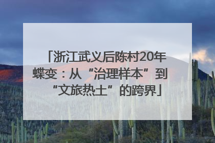 浙江武义后陈村20年蝶变：从“治理样本”到“文旅热土”的跨界